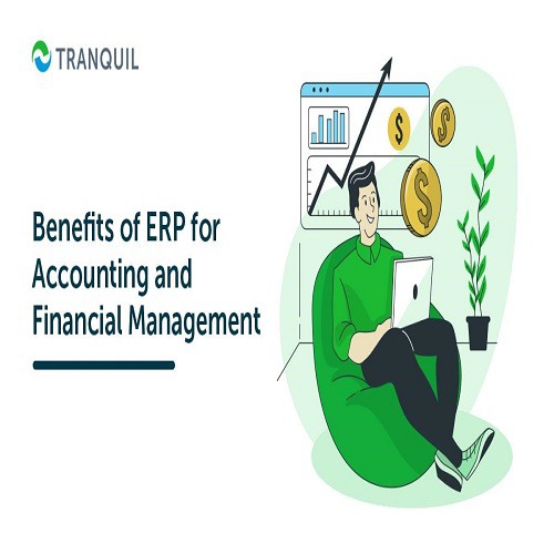 https://sarvadnyatechnologies.vistashopee.com/5 Key Benefits of ERP For Accounting And Financial Management