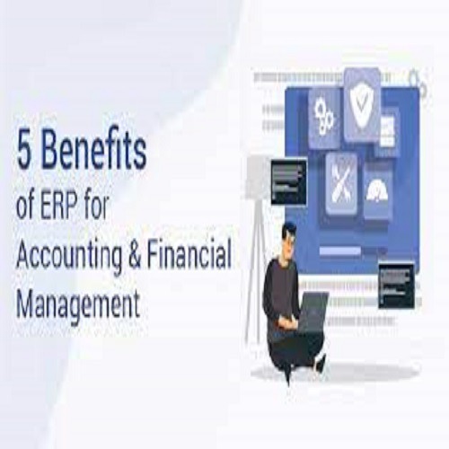 https://sarvadnyatechnologies.vistashopee.com/Difference Between ERP Software And Accounting Software